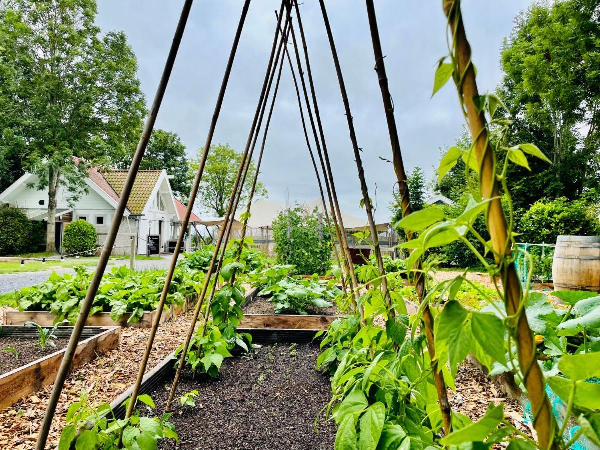 Pod Huisje Met Hottub Dokkum Exterior foto